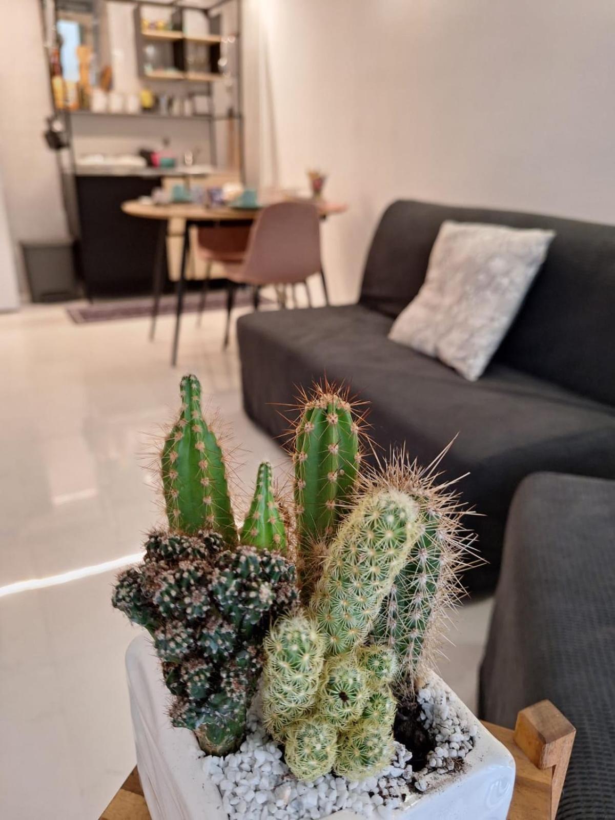 Domus Ai Mannesi Apartment